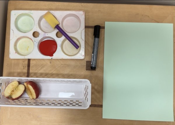 
      
        Guppies activity 2.jpg
      
    