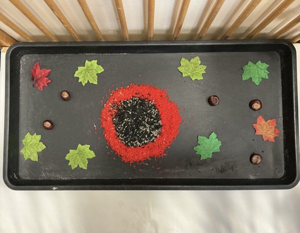 
      
        Guppies activity.jpg
      
    