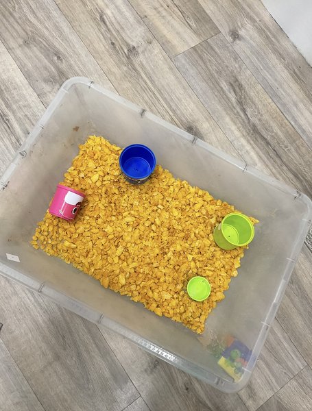 
      
        Guppies activity 3.jpg
      
    